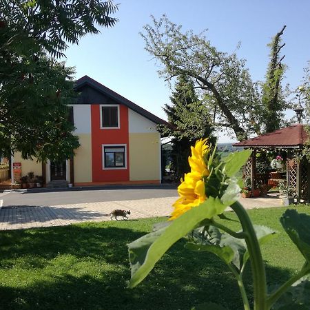 Gastehaus Dobida Hotel Unterlamm  Exterior photo