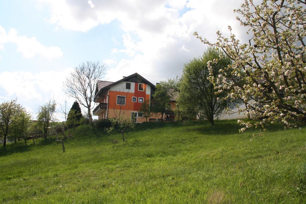 Gastehaus Dobida Hotel Unterlamm  Exterior photo